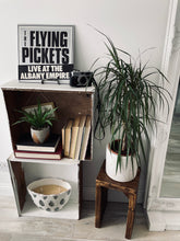 Load image into Gallery viewer, High Plant Stand | Riser

